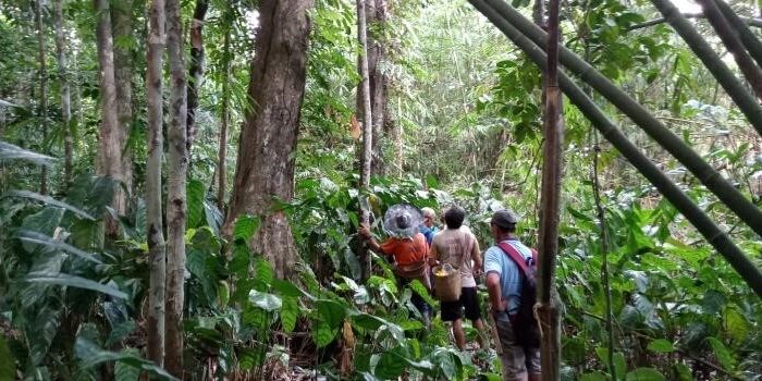 Field visit farmers4forest 3