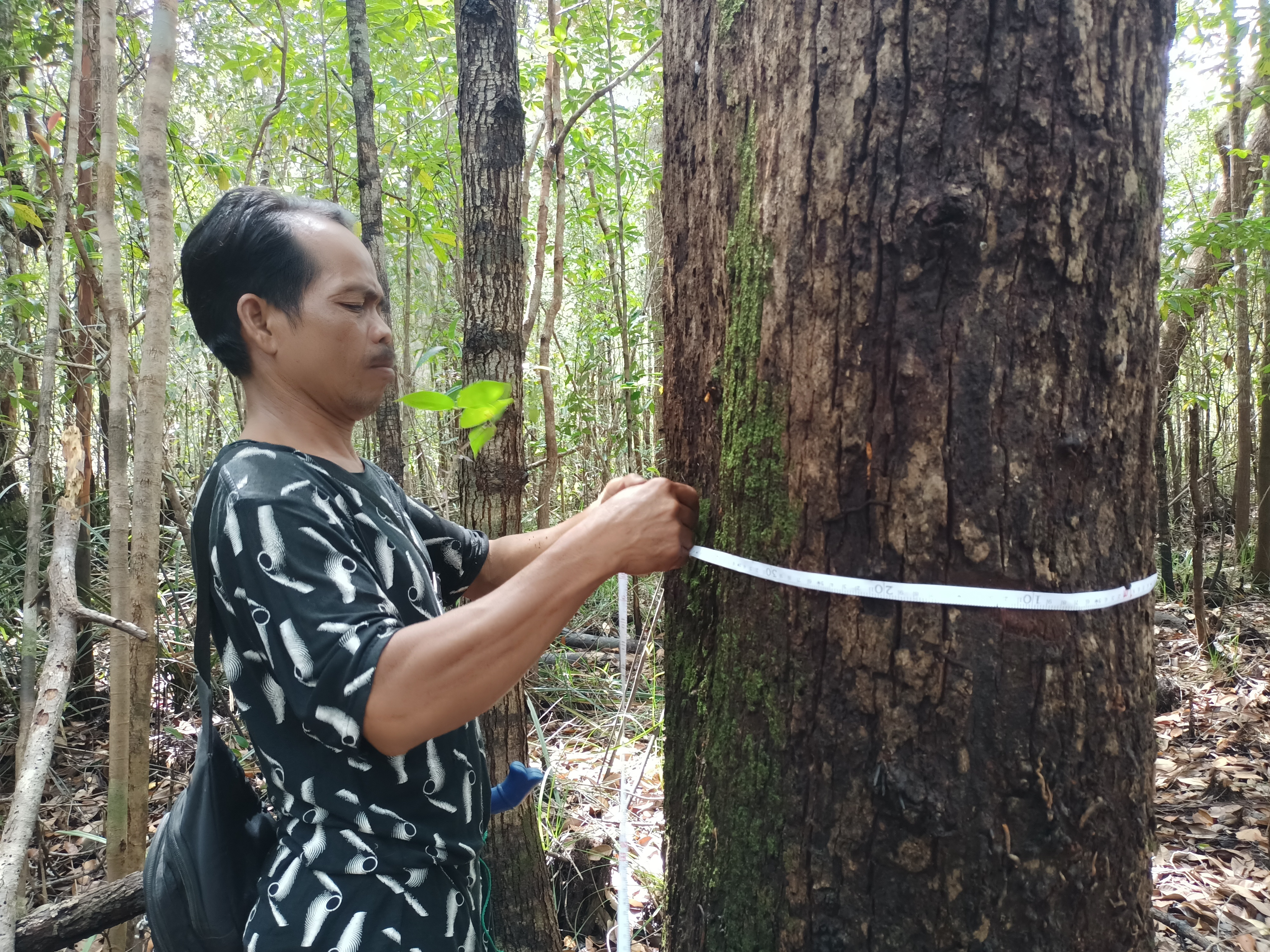 Media Release - New Zealand Government funds customary forest protection in West Kalimantan