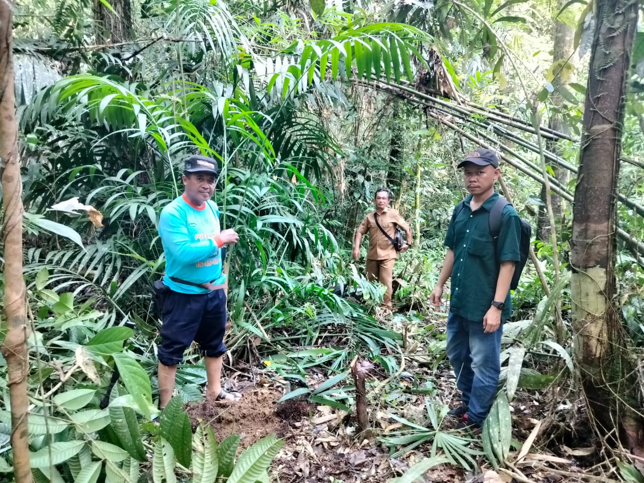 From Farmers for Forests: The Story of 4F and Efforts to Build a Landscape Without Deforestation